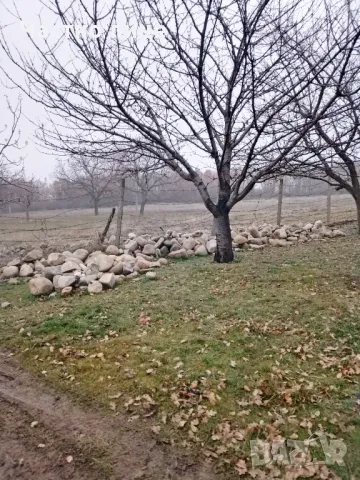 Подарявам камъни за ограда или друго.