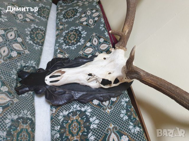 Трофей от голям благороден елен с поставка от дъб–ръчна дърворезба., снимка 7 - Антикварни и старинни предмети - 36803498