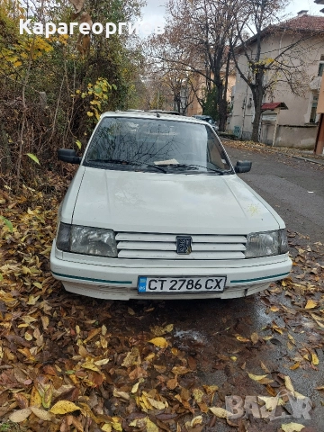 Peugeot 309 GREEN