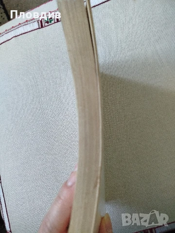 Филип Фанденберг, Нефертити , снимка 3 - Художествена литература - 50770101