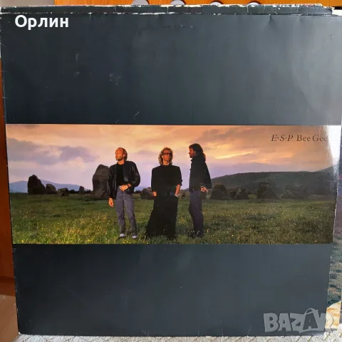 Грамофонни плочи, снимка 5 - Грамофонни плочи - 56514438