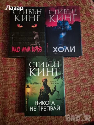 Стивън Кинг - Ако има кръв, Холи, Никога не трепвай