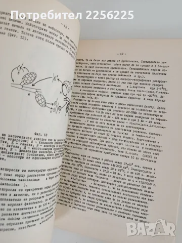 Систематика на растенията ( част 1), снимка 3 - Специализирана литература - 55968165
