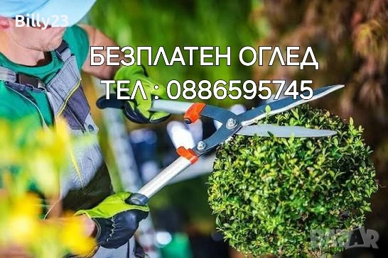 🌿Косене и почистване на дворове в Русе и цялата област 