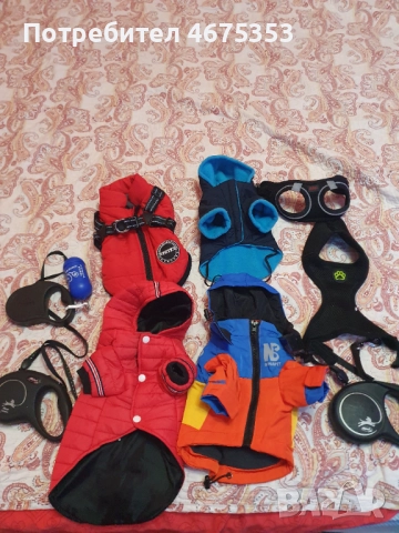  Мини Йорки йоркширски териер 4 кученца, снимка 4 - Йоркширски териер - 52770169