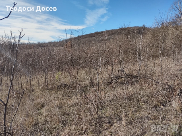 Продавам земеделска земя , снимка 5 - Земеделска земя - 53243811