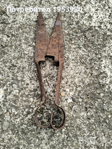 Ножица за стригане на овце, снимка 1