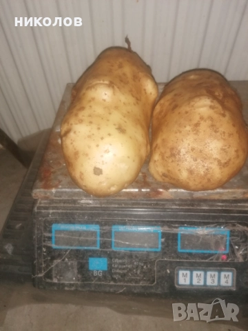 картофи за пълнене 