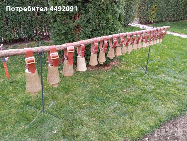 чанове Звънци 