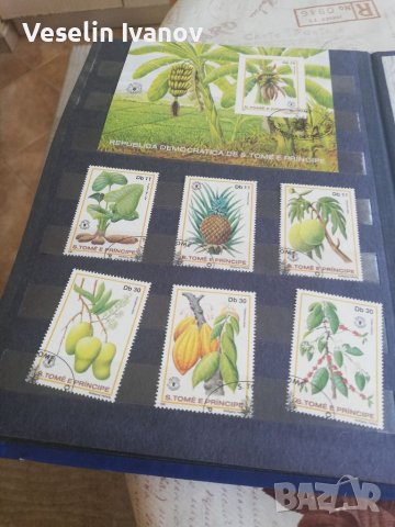Пощенски марки колекция класьор, снимка 5 - Филателия - 36763906