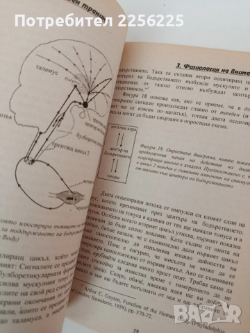 Дзен тренинг, снимка 3 - Специализирана литература - 54317170