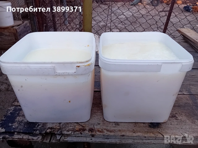 Свинска маз , снимка 2 - За селскостопански - 53282117