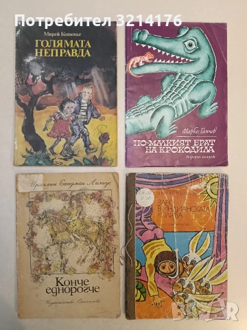 Голямата неправда - Мирей Котенье (1986)