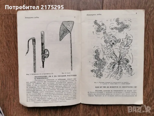 Аквариумни рибки-Г.Кондов-1991г., снимка 4 - Рибки - 49698717