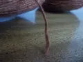 Прежда на бобини, снимка 4