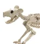 Реалистичен скелет,  Хелоуин, мишка, бял, 20 см, снимка 3