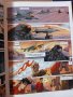 Комикси на френски език два различни , комикс, снимка 2