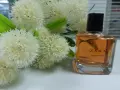 ZARA ЗАРА парфюми, снимка 2