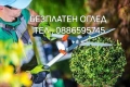 🌿Косене и почистване на дворове в Русе и цялата област , снимка 1