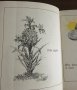 A PICTURE BOOK OF RIDDLES – образователна книжка на английски език, снимка 4