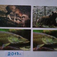 Стари календарчета от 1987г., 2011 г., 2013 г. и 2015 г. с животни, птици и риби, снимка 7 - Колекции - 31731702