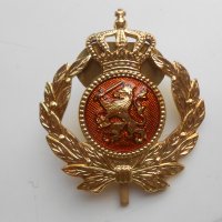 Кокарди Руски герб и герб Нидерландия, снимка 7 - Други ценни предмети - 33703425