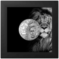 сребърна монета 1 оз 1 oz краля на животните лъв, снимка 1 - Нумизматика и бонистика - 39675456