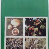 Атлас по Ботаника - Сл.Петров,Е.Паламарев - 1994г.  , снимка 7 - Енциклопедии, справочници - 42277632