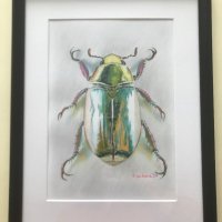 Перлено бръмбарче, снимка 1 - Картини - 44473206