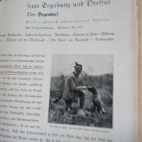   Wid and hund немско ловджийско списание 1930 - 1937 г, снимка 14 - Антикварни и старинни предмети - 37319252