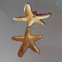 метална кутийка Морска звезда от Тенерифе , снимка 2 - Други - 38940211