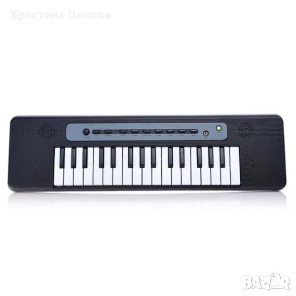 Детска йоника с микрофон, снимка 1