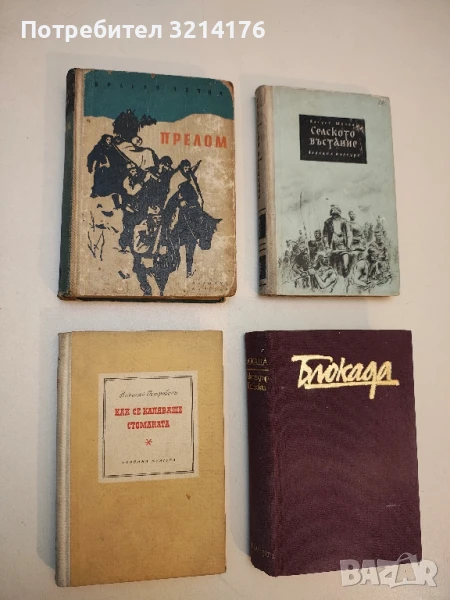 Как се каляваше стоманата - Николай Островски, снимка 1