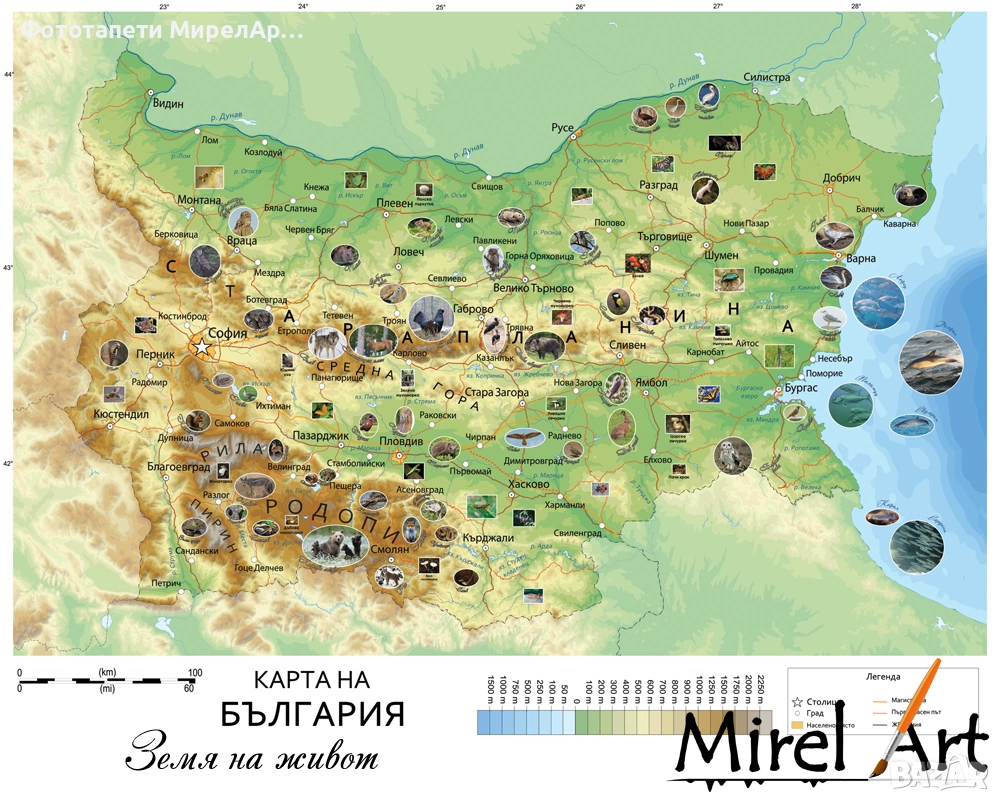 Фототапет карта на България, снимка 1