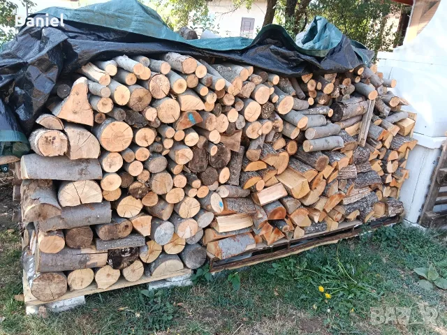 продавам 15 кубика дърва 