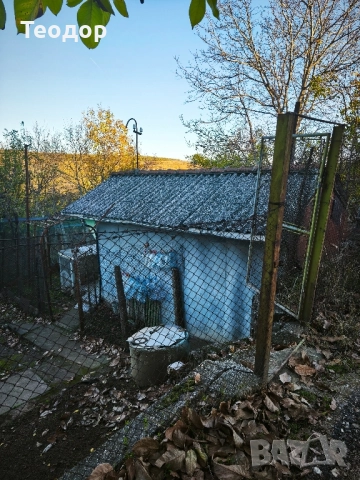 Продавам лозе с постройка, снимка 4 - Къщи - 52423608