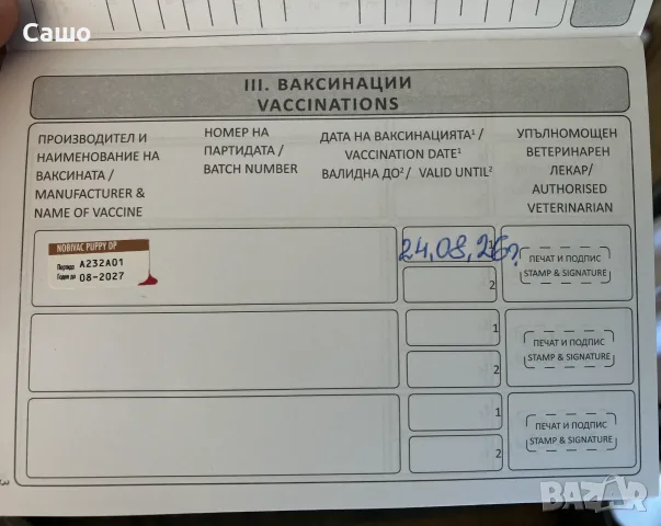 Малки Пухкави Пекинези, снимка 8 - Пекинез - 55684142