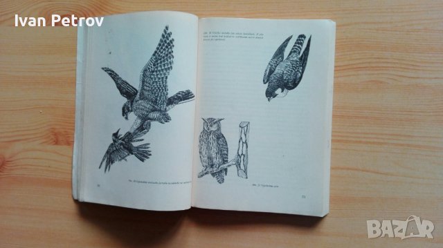 Ръководство за направа на ловни трофеи, снимка 3 - Специализирана литература - 42652133