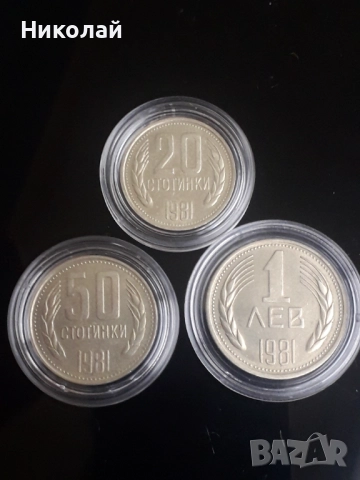 пълният лот от 7 броя разменни монети 1981г. НРБ., снимка 5 - Нумизматика и бонистика - 52653475