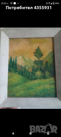 Две стари картини старинна картина стара картина , снимка 7 - Антикварни и старинни предмети - 52686224