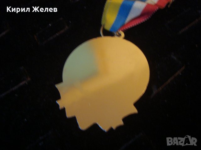 СТАР ШВЕЙЦАРСКИ РЯДЪК ПОЗЛАТЕН МЕДАЛ с ЛЕНТА и НОСАЧ ЕМАЙЛИРАН 25051, снимка 5 - Антикварни и старинни предмети - 34510648