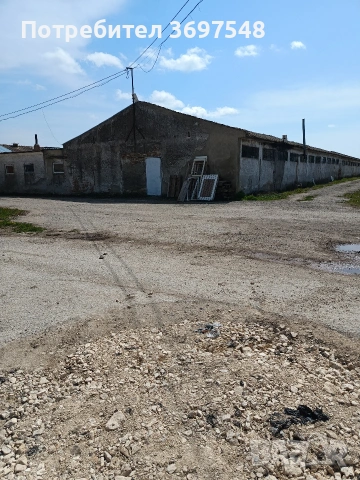 продават се халета