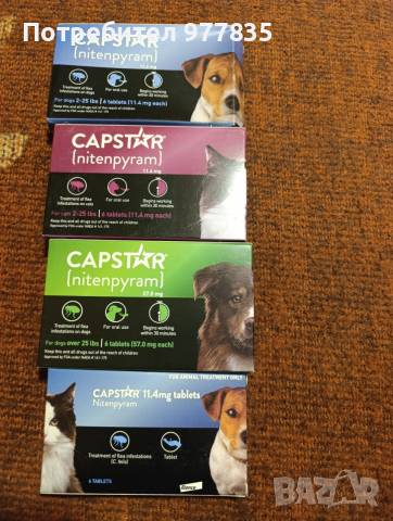 CAPSTAR против бълхи