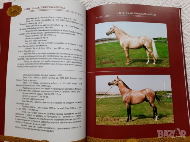 Ахалтекинецът - наша гордост и слава - Гурбангули Бердимухамедов, снимка 4 - Специализирана литература - 31804324