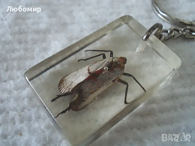 Стари ключодържатели Насекоми, снимка 12 - Антикварни и старинни предмети - 49544764