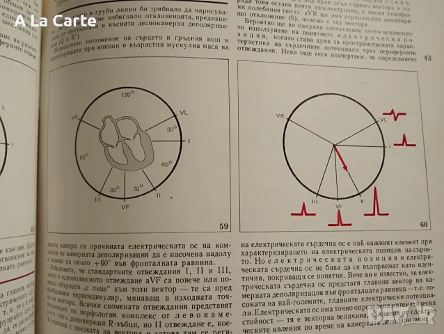 Ръководство по Електрокардиография, снимка 6 - Специализирана литература - 47990467