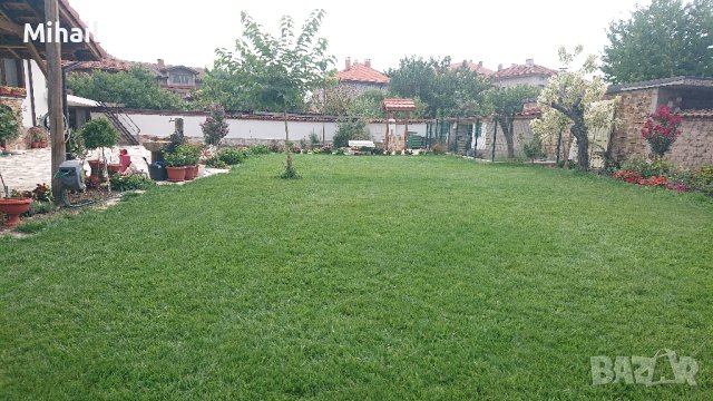 Засяване на райграс и тревни смески с професионална сеячна машина, снимка 8 - Други услуги - 42145541