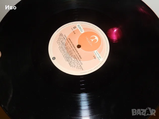 Грамофонни плочи - цветни винили 12", снимка 5 - Грамофонни плочи - 55725901