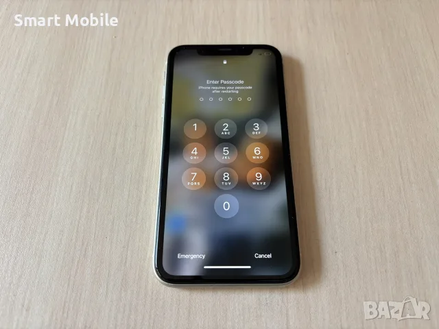 Apple iPhone 11