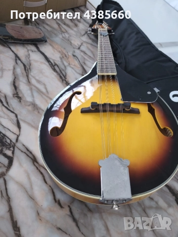 Мандолина, снимка 2 - Струнни инструменти - 52485493